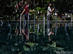 Jakarta PPKM Level 2, Taman Suropati Kembali Dibuka