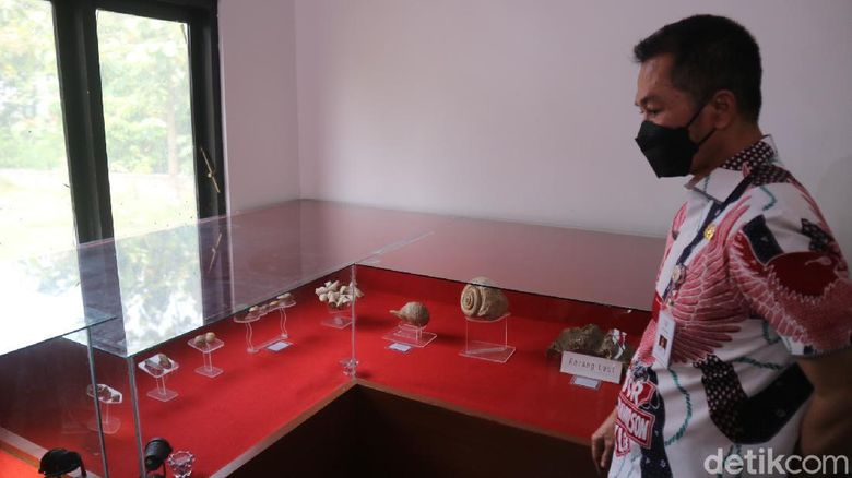Keterbatasan Ruang, Museum Patiayam Kudus Minim Display Koleksi Fosil
