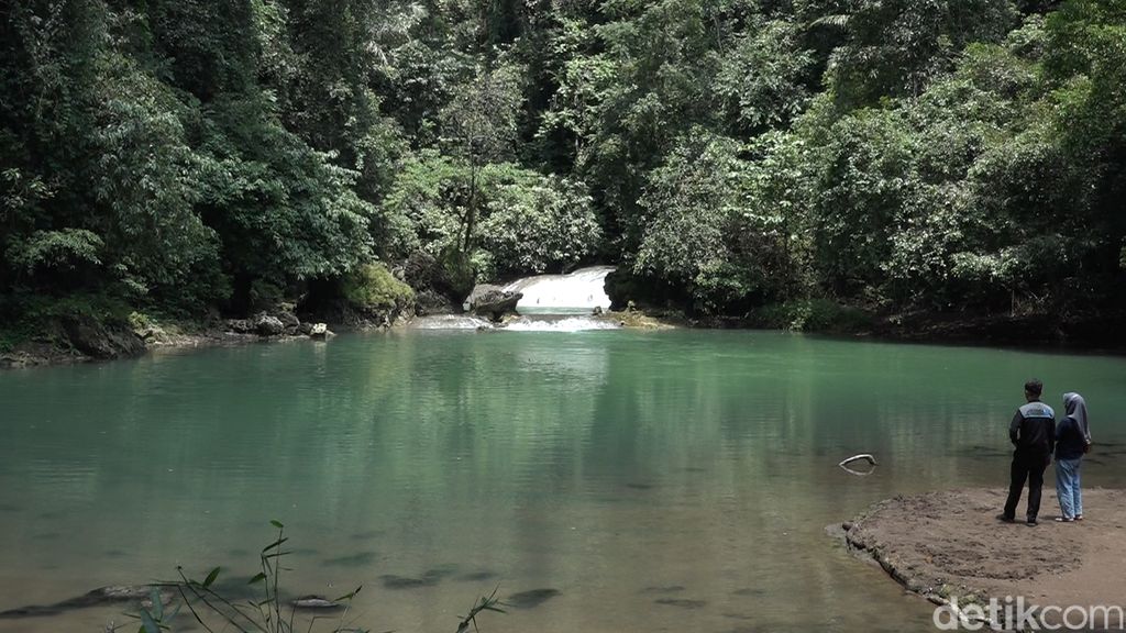 Kupu-kupu di Bantimurung