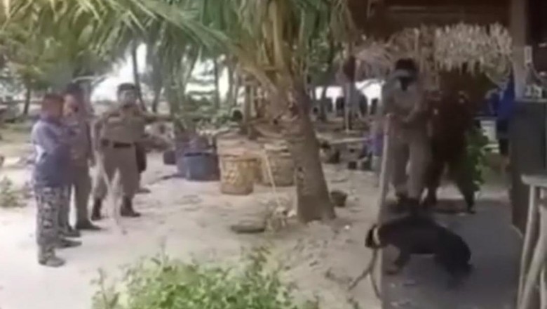 Momen evakuasi anjing Canon dari resort di Pulau Banyak untuk dibawa ke daratan Aceh Singkil (Screenshot video viral)