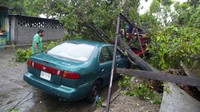 Penampakan mobil yang tertimpa pohon usai kawasan tersebut dihantam badai Rick.  