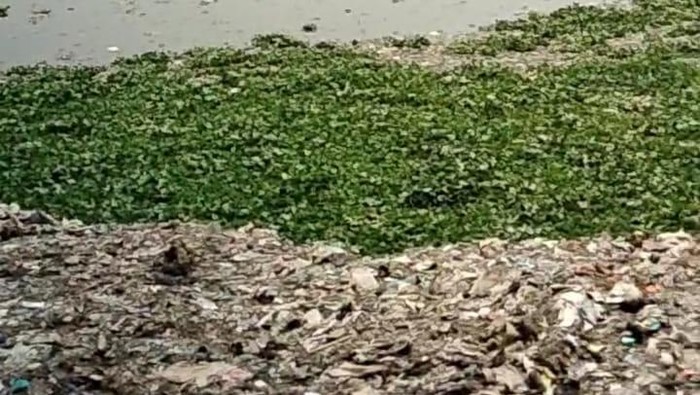 Sampah menumpuk di Waduk Pluit, Jakarta Utara (Jakut)