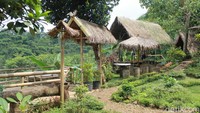 Sejauh mata memandang, traveler akan disuguhi persawahan yang terhampar luas dan rimbunnya pepohonan yang tertanam di sekitar area wisata. Sejuk dan hijau. Adem banget traveler! (Luthfi Hafidz/detikTravel)