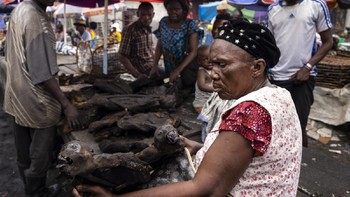 Juara pertama kategori Storyboard diraih Brent Stirton. Foto: Siena International Photo Awards