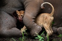 Siena International Photo Awards 2021