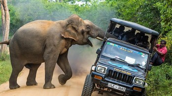 Juara pertama kategori Journey & Adventures diraih  Sergey Savvi. Foto: Siena International Photo Awards