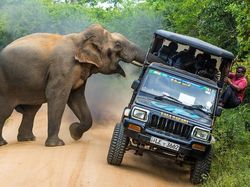 Karya Juara Siena International Photo Awards 2021 Bikin Merinding
