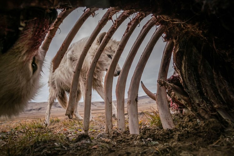Siena International Photo Awards 2021