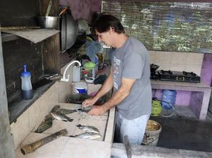 Heboh Bule Jualan Ikan sampai Hukum Menyentuh Babi dalam Islam