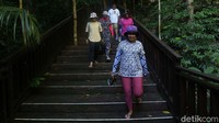 Tidak seperti Wayag, untuk ke Puncak Piaynemo kita dimanjakan dengan tangga kayu yang sangat rapih. Untuk mencapai puncak Piaynemo harus menaiki 350 anak tangga dengan waktu tempuh 15 menit. 