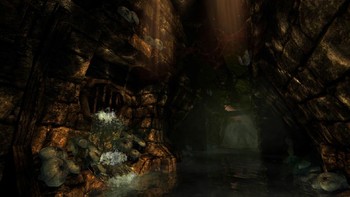 Bagaimana bila kalian terbangun di sebuah kastil misterius tak berpenghuni? Hal seram itu lah yang dirasakan Daniel dalam game Amnesia: The Dark Descent. Foto: (dok Steam).