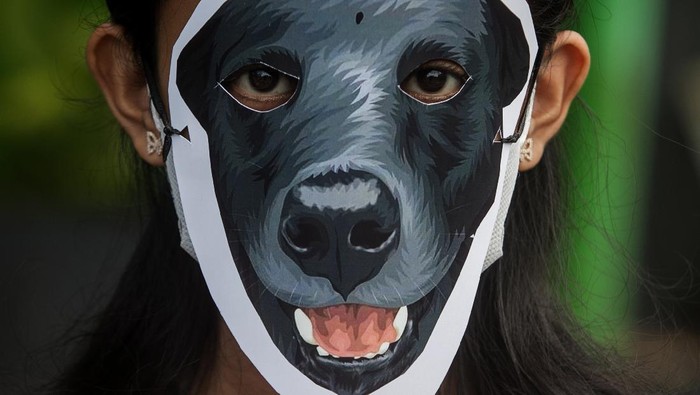 AKSI SOLIDARITAS UNTUK ANJING CANON Relawan komunitas pecinta hewan melakukan aksi diam dengan topeng anjing di Solo, Jawa Tengah, Rabu (27/10/2021). Aksi tersebut sebagai bentuk solidaritas dan peryataan sikap keprihatinan atas dugaan penganiayaan yang dilakukan oknum Satpol PP terhadap seekor anjing bernama Canon di Pulau Banyak, Aceh. ANTARA FOTO/Mohammad Ayudha/foc.