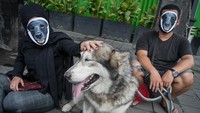 Aksi tersebut sebagai bentuk solidaritas dan peryataan sikap keprihatinan atas dugaan penganiayaan yang dilakukan oknum Satpol PP terhadap seekor anjing bernama Canon di Pulau Banyak, Aceh.
