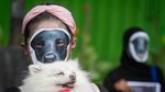 Aksi Solidaritas untuk Anjing Canon di Solo