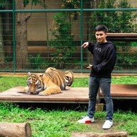 Salah satu hewan peliharaan di kebun binatang tersebut adalah harimau benggala. Alshad juga memiliki serigala dan burung unta. (Foto: Instagram)