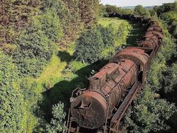 Potret Ngeri Bangunan Terbengkalai Tak Berpenghuni