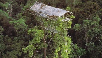 Rumah adat terbengkalai di Papua Nugini. Foto: Boredpanda
