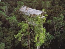Potret Ngeri Bangunan Terbengkalai Tak Berpenghuni
