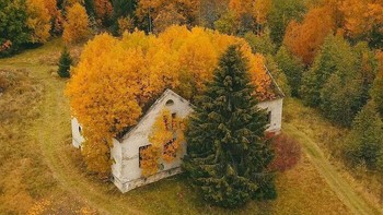 Rumah yang terbengkalai di Republik Karelia, Rusia sampai bagian dalam pun ditumbuhi pepohonan. Foto: Boredpanda