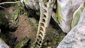 Penampakan tangga yang jadi membatu di Prancis. Foto: Boredpanda