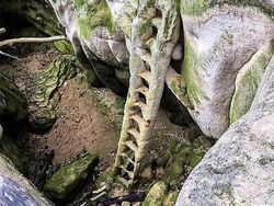 Potret Ngeri Bangunan Terbengkalai Tak Berpenghuni