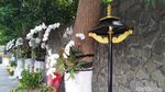 Indahnya Sentuhan Mensos Risma di Makam Bung Karno Blitar