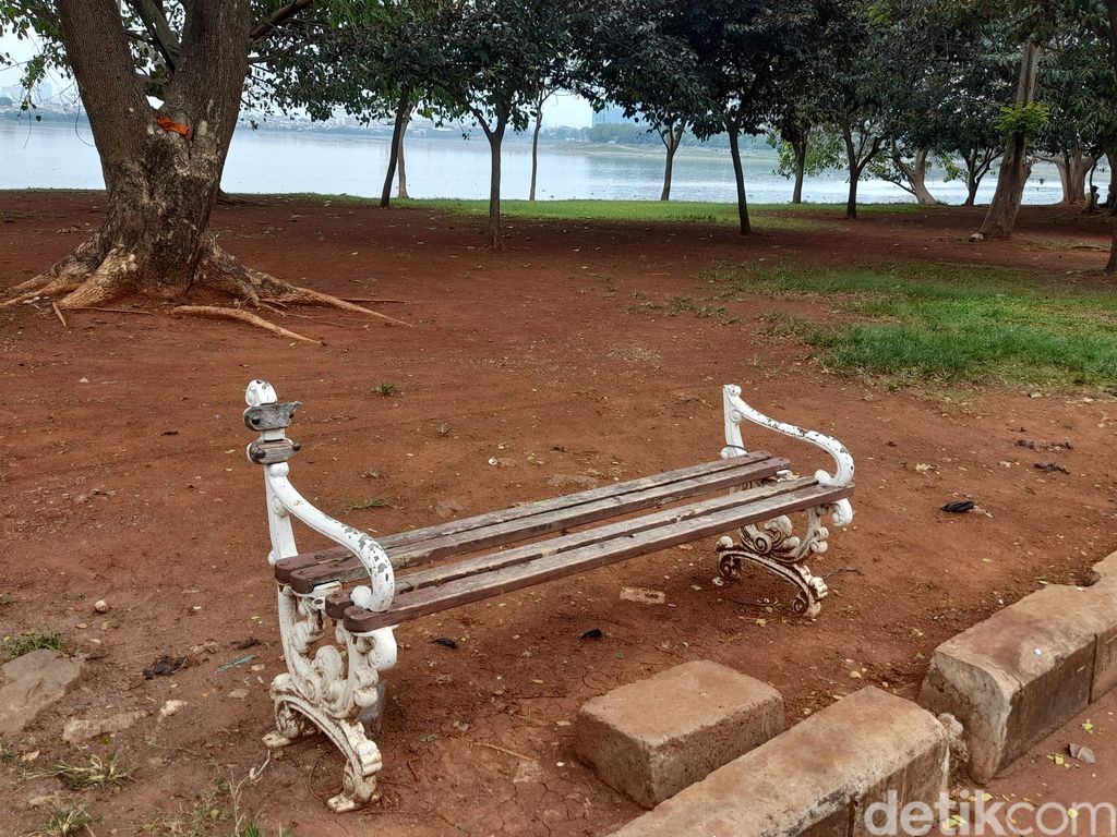 Kondisi Taman Waduk Pluit, Jakarta Utara, 27 Oktober 2021, 12.00 WIB. (Marteen Ronaldo Pakpahan/detikcom)
