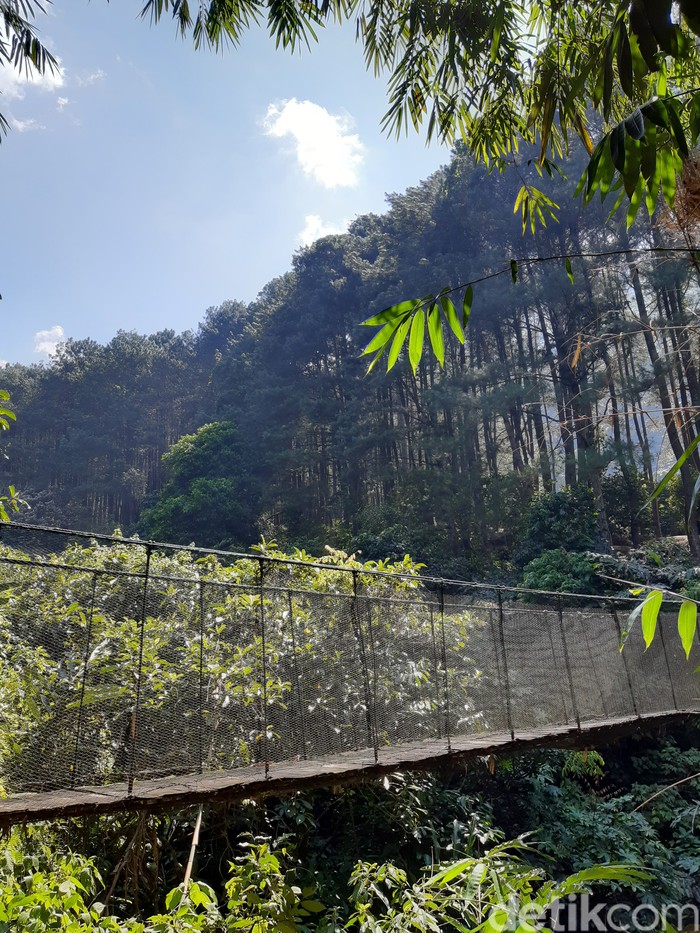 Loji Suaka Elang Bogor