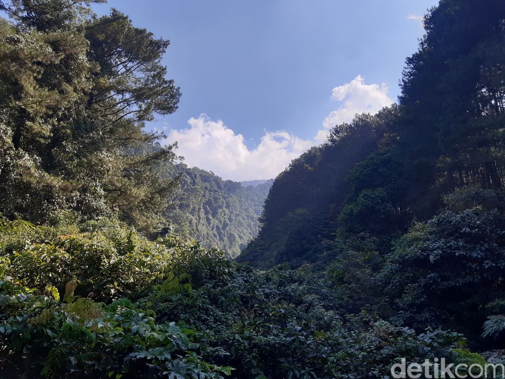 Loji Suaka Elang Bogor
