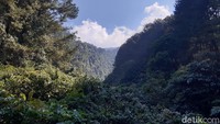 Pemandangan Loji Suaka Elang masih dapat terbilang sangat asri dan alami. Di sekelilingnya masih banyak terdapat pepohonan yang rimbun. Udara sejuk nan segar juga masih dapat dirasakan di tempat ini. (Luthfi Hafidz/detikTravel)