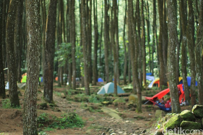 Loji Suaka Elang Bogor
