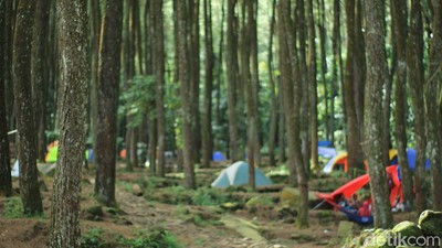 Bogor Punya Rumah Elang, Bisa Buat Kemping Juga Lho!