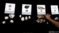 Di Kampung Susun Akuarium juga terdapat museum mini.