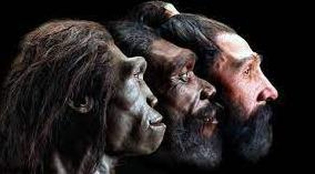 Seperti Apa Ya Evolusi Rambut Manusia Purba? Ini Studinya