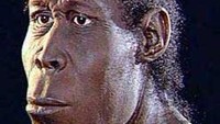 Selain Pithecanthropus erectus, jenis Pithecanthropus lainnya yang ditemukan di Indonesia adalah Pithecanthropus robustus, yaitu manusia kera yang besar dan Pithecanthropus mojokertensis, yakni manusia kera dari Mojokerto. Dok. asaldansejarah45