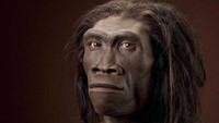 Pithecanthropus atau dikenal juga dengan manusia kera adalah jenis manusia purba yang fosilnya paling banyak ditemukan di Indonesia. Penemuan fosil pertamanya ditemukan oleh arkeolog asal Belanda bernama Eugene Dubois pada 1891 di Trinil, Ngawi. Dok. workamerica
