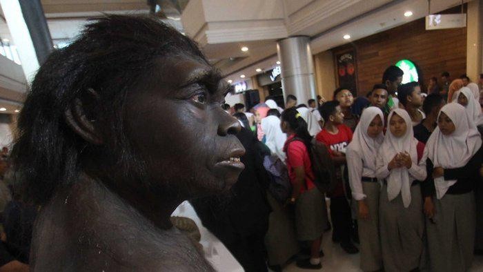 Menilik Manusia Purba dalam Sejarah Indonesia Manusia purba dan kehidupan zaman praaksara adalah dua hal yang tidak terlepaskan dalam sejarah bangsa Indonesia.