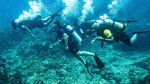 Menyusuri Keindahan Bawah Laut Pulau Sabang