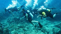 Ada beberapa lokasi penyelaman di antaranya The Canyon, Batee Tokong, Pulau Rondo dan Arus Balee. 