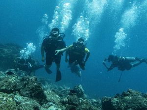 Ingat Traveler! Jangan Buang Sampah ke Laut, Akibatnya Fatal