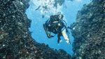 Menyusuri Keindahan Bawah Laut Pulau Sabang