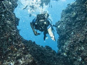 My Trip My Adventure: Keindahan Bawah Laut Batee Tokong di Aceh
