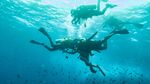 Menyusuri Keindahan Bawah Laut Pulau Sabang