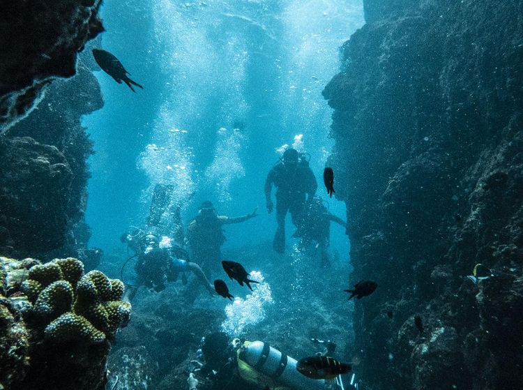 Menyusuri Keindahan Bawah Laut Pulau Sabang