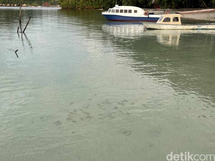 Pantai Waiwo, Waisai, Raja Ampat