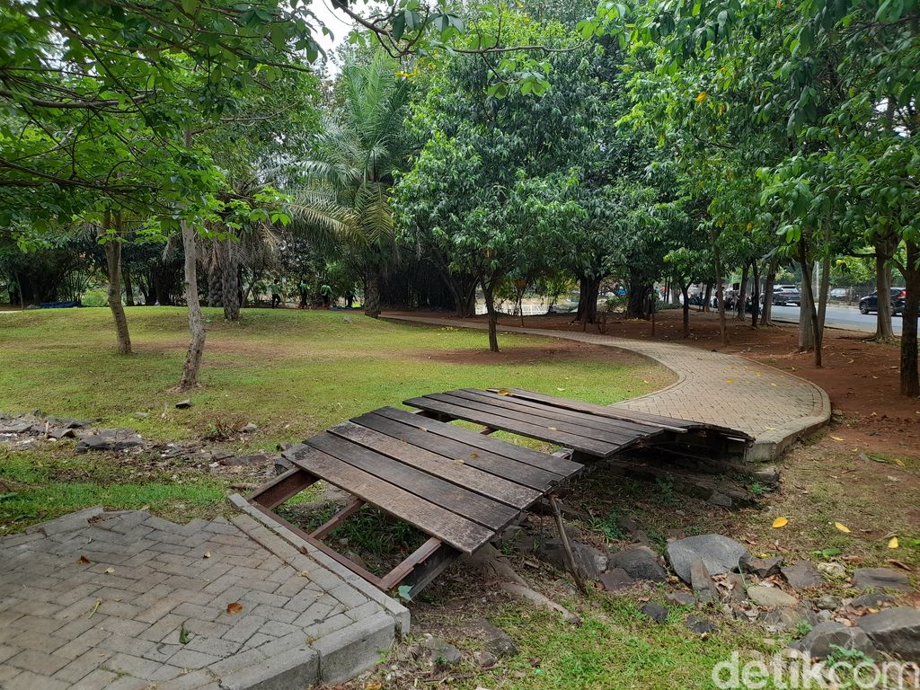 Pasukan hijau Dinas Pertamanan dan Hutan Kota DKI membersihkan Waduk Pluit, 27 Oktober 2021. (Marteen Ronaldo Pakpahan/detikcom)
