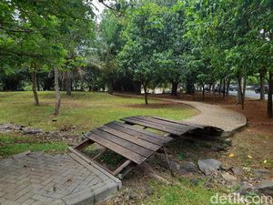 Akankah Pemprov DKI Perbaiki Taman Waduk Pluit Warisan Jokowi-Ahok?