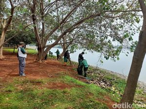 Pasukan Hijau DKI Bersihkan Taman Kota Waduk Pluit dari Sampah