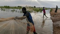 Seperti dilaporkan AP, Jumat (22/10/2021), Perserikatan Bangsa Bangsa (PBB) menyalahkan banjir terburuk di Sudan Selatan dalam 60 tahun yang terjadi akibat perubahan iklim.  