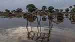 Perubahan Iklim Ancam Mata Pencarian Ribuan Warga Sudan